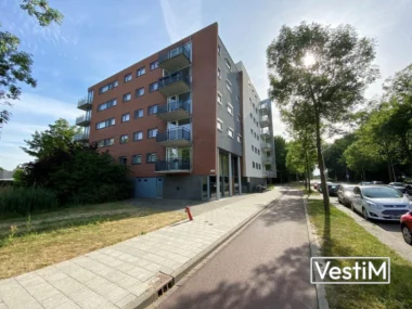 Leiden, Vijf Meilaan
