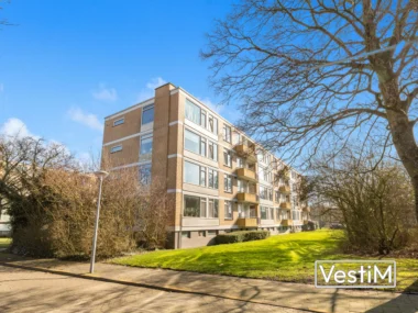 Alkmaar, Van Ostadelaan