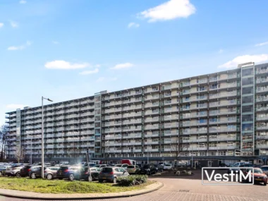 Amsterdam, Haag en Veld