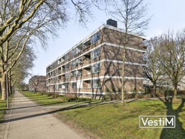 Rotterdam, Plotinusstraat