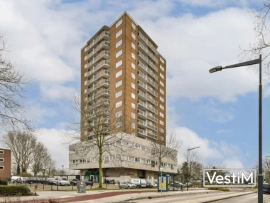 Haarlem, Professor van der Scheerstraat