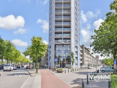 Den Haag, Troelstrakade