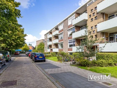 Groningen, Jacob van Ruysdaelstraat