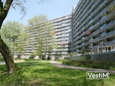 Schiedam, Griegplein
