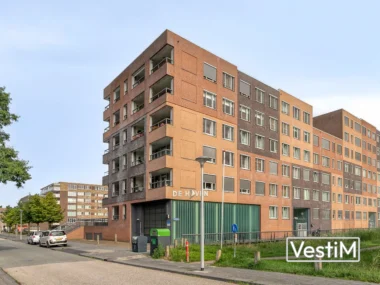 Zwolle, Waterlelie