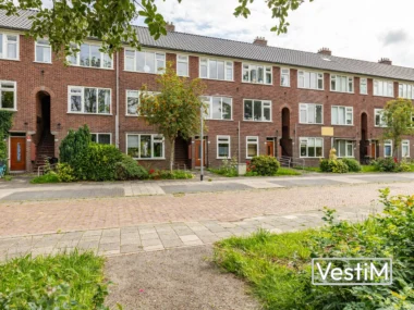 Groningen, Adriaan van Ostadestraat