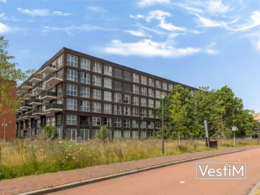 Heerhugowaard, Lapis Lazuli