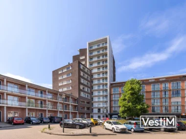Schiedam, Hargplein