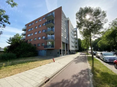 Leiden, Vijf Meilaan